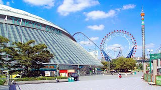 Walk from Tokyo Dome to   JAPAN LIVE STREAMS 2024 [upl. by Armbruster380]