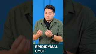 what is epididymal cyst varicocele epididymalcyst himanshudhawan maleinfertility shorts [upl. by Ainesy]