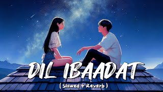 DIL IBADAT  Slowed  Reverb  Songs  KK SONGS  EMRAAN HASHMI MOVIE SONGS  Lofi songs [upl. by Neerom465]