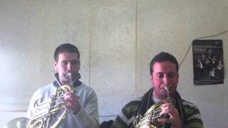 Beethoven 7 Orchestral Excerpt French Horn Javier Molina Parra y Miguel Morles Llopis [upl. by Nnaitak]