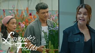 Lavender Fields Full Episode 1 September 2 2024 Live Today Advance Episode Storytelling [upl. by Hoye514]