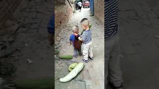 Chow Mow gone to bring vegetablesचोयू मोयू सब्जी लेने गएfunnycutebaby Giggly Goo9j9 [upl. by Dajma]