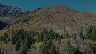 Alpine Loop Scenic Byway  Fall 2024 [upl. by Llerreg]