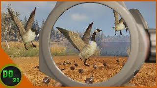 Goose Hunting with The New Red Dot Sight Call Of The Wild [upl. by Dnomde]