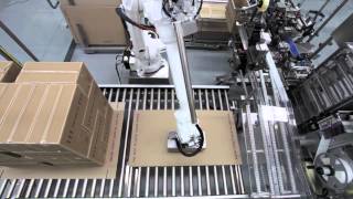 Robotic Case Packer and Palletiser [upl. by Adnaugal]