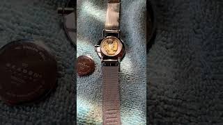 Skagen Watch Battery Change and Tips [upl. by Varian]