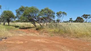 Bunjil Rocks Free Camp Iona Road Dog Friendly No Facilities 4 Hours North of Perth [upl. by Ecirtap]