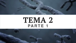 TEMA 2  Psicobiología  UNED  Parte I [upl. by Frick]