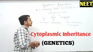 Cytoplasmic Inheritance In MIRABILIS JALAPA  GENETICS  NEET  BIOwithKD [upl. by Eniretak]