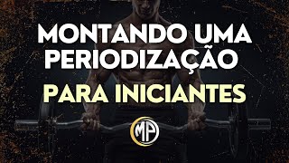 PERIODIZAÇÃO NA MUSCULAÇÃO PARA INICIANTES [upl. by Eerot]