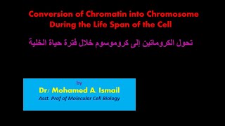 Conversion of Chromatin into Chromosomes [upl. by Efal2]