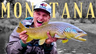 one summer fly fishing in Montana [upl. by Eignav]