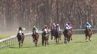 Stanthorpe 20241019 Race 2 [upl. by Reidar]