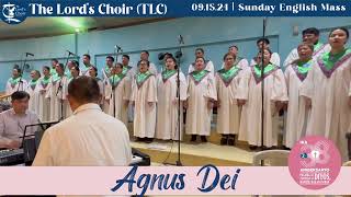 Agnus Dei  091524  TLC  38 Sunday English Mass  TLC Doha [upl. by Grimona]