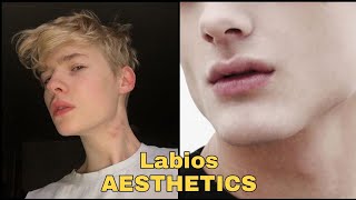 Como tener unos Labios AESTHETIC Y BESABLES [upl. by Adeuga]