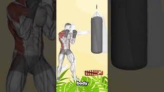 Boxing Right Cross exercise  boxing punches shorts [upl. by Neau]