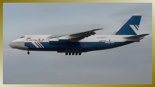 Polet Airlines ANTONOV An124 landing at Hamburg Airport [upl. by Atiana]