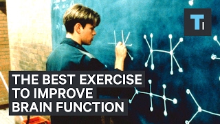 Neuroscientist explains the best exercise to improve brain function [upl. by Anelleh]