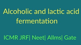 Alcoholic And Lactic Acid Fermentation [upl. by Esac]