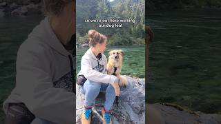 Found in Redwood National Park adventurecat dog [upl. by Meldon751]