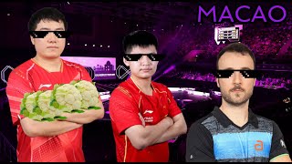 WTT Macao Best Moments [upl. by Mensch]