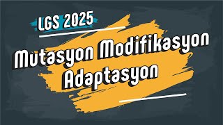 Mutasyon Modifikasyon Adaptasyon  8 Sınıf LGS2025 [upl. by Nomzzaj396]