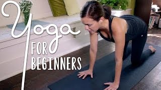 Yoga For Complete Beginners  20 Minute Home Yoga Workout [upl. by Dygall483]