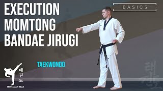 Ausführung Momtong Bandae Jirugi Taekwondo [upl. by Alletneuq]