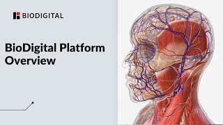 The BioDigital Human  Platform Overview [upl. by Analla]