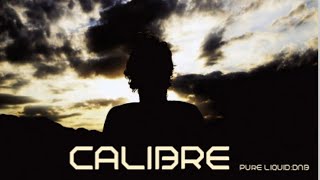 Calibre  Classic Tribute Drum And Bass Mix Vol 2 Pure Liquid No346 [upl. by Rhonda159]