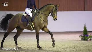 Orleans VDL Conthargos  Heartbreaker  Carthago [upl. by Iseabal]