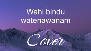 Wahi bindu watenawanam cover dineshgamage guitarcover sinhalacovers wahibinduwatenawanam [upl. by Fachan]