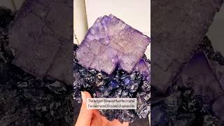 Have you ever seen Elmwood Fluorite 💎healingstones fluorite healingcrystals crystals rocks [upl. by Yellat759]