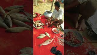 Big american rui fish cuttingseafood shorts fishcutting darixacaqsan song [upl. by Elleoj198]