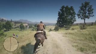 Almost crashed during the Horseman 9 challenge RDR2 Van Horn to Blackwater [upl. by Reifinnej]