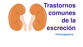 Trastornos comunes de la excreción [upl. by Amitarp]