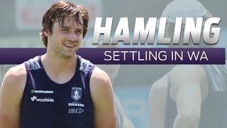 Hamlings defensive approach [upl. by Ise]