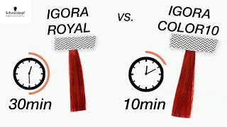 IGORA ROYAL10 Express Hair Color Treatment VS IGORA ROYAL  Schwarzkopf USA [upl. by Aivyls]