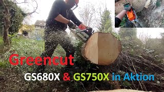 Greencut GS680X amp GS750X in Aktion beim Aufarbeiten von Brennholz [upl. by Bernie]