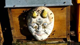 Bannmaske Guido Westerwelle mit Bienen [upl. by Faso]