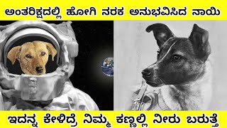 LAIKA SPACE DOG STORY IN KANNADARJ FACTS IN KANNADA [upl. by Hewie]