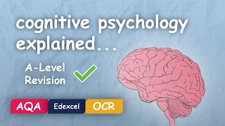 What is Cognitive Psychology Alevel Revision Themes in Psychology Explained [upl. by Conte]