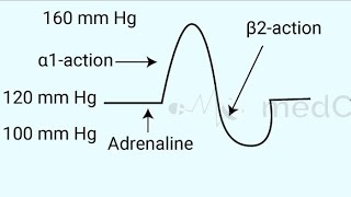 Vasomotor reversal of Dale [upl. by Rasure]