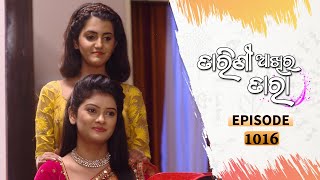 Tarini Akhira Tara  Full Ep 1016  5th May 2021  Odia Serial – TarangTV [upl. by Yznil]