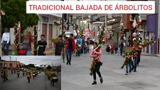 Tradicional Bajada de Árbolitos en Zapotiltic Jalisco 15 de septiembre 2024 [upl. by Aietal]