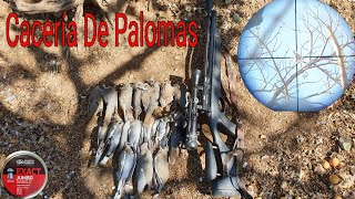 Caza De PALOMAS CON RIFLE DE AIRE PCP  Buenos Tiros De Larga Distancia [upl. by Netsuj]