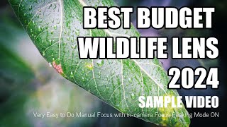 Best Budget Wildlife Lens Under 25K  Tokina SZX Super 400mm F8 Reflex MF Sample Video [upl. by Rosemari642]