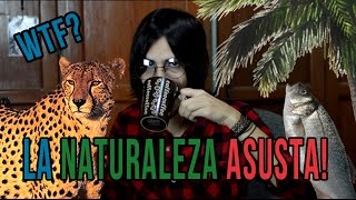 La Naturaleza ASUSTA ft John Lennon [upl. by Tala244]