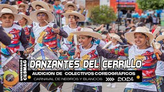 Danzantes Del Cerrillo 🥁 Audición de colectivos coreográficos 2024 [upl. by Etnovert]