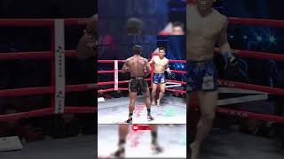 Very crispy buakaw kick is dug shortsvideo kickboxing boxing mma ufc muaythai shorts [upl. by Burr]